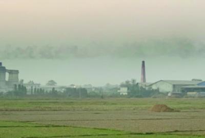 बजारको कब्जामा प्रकृति