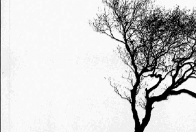 Dialogic Politics of Knowledge