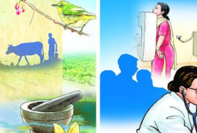 Governance gaps in health and agriculture