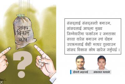 सांसद विकास कोषको मारमा लोकतन्त्र